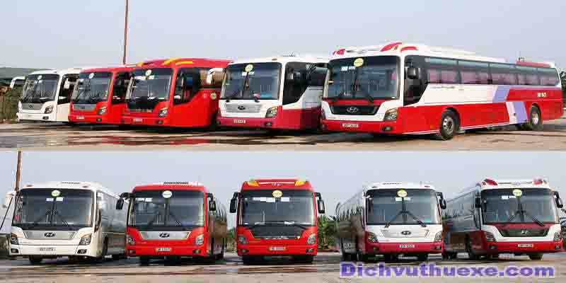 Cho thuê xe Hyundai Hi-Class 45 chỗ 